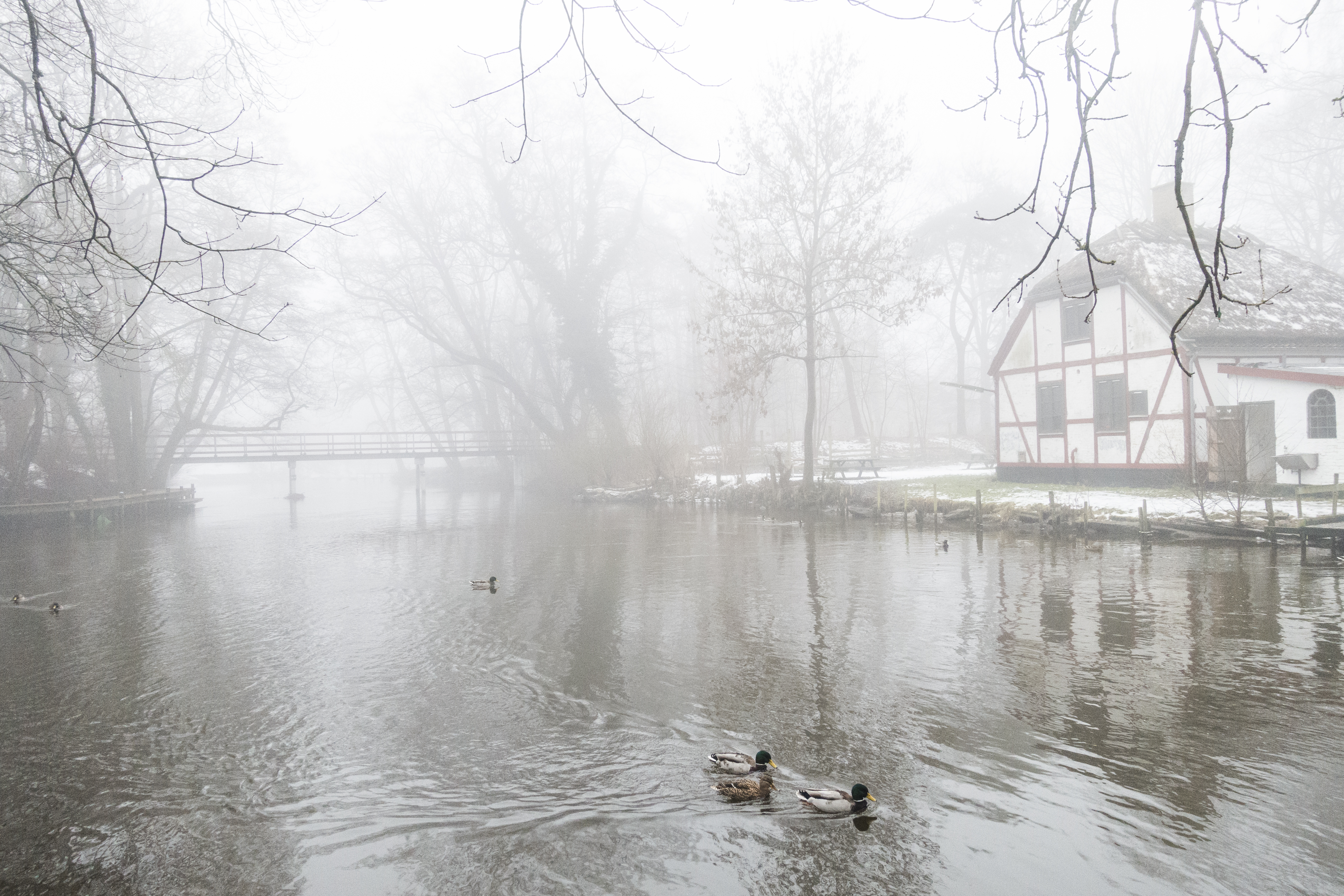 Næstved_city_covered_in_fog_HelenaLundquist_6