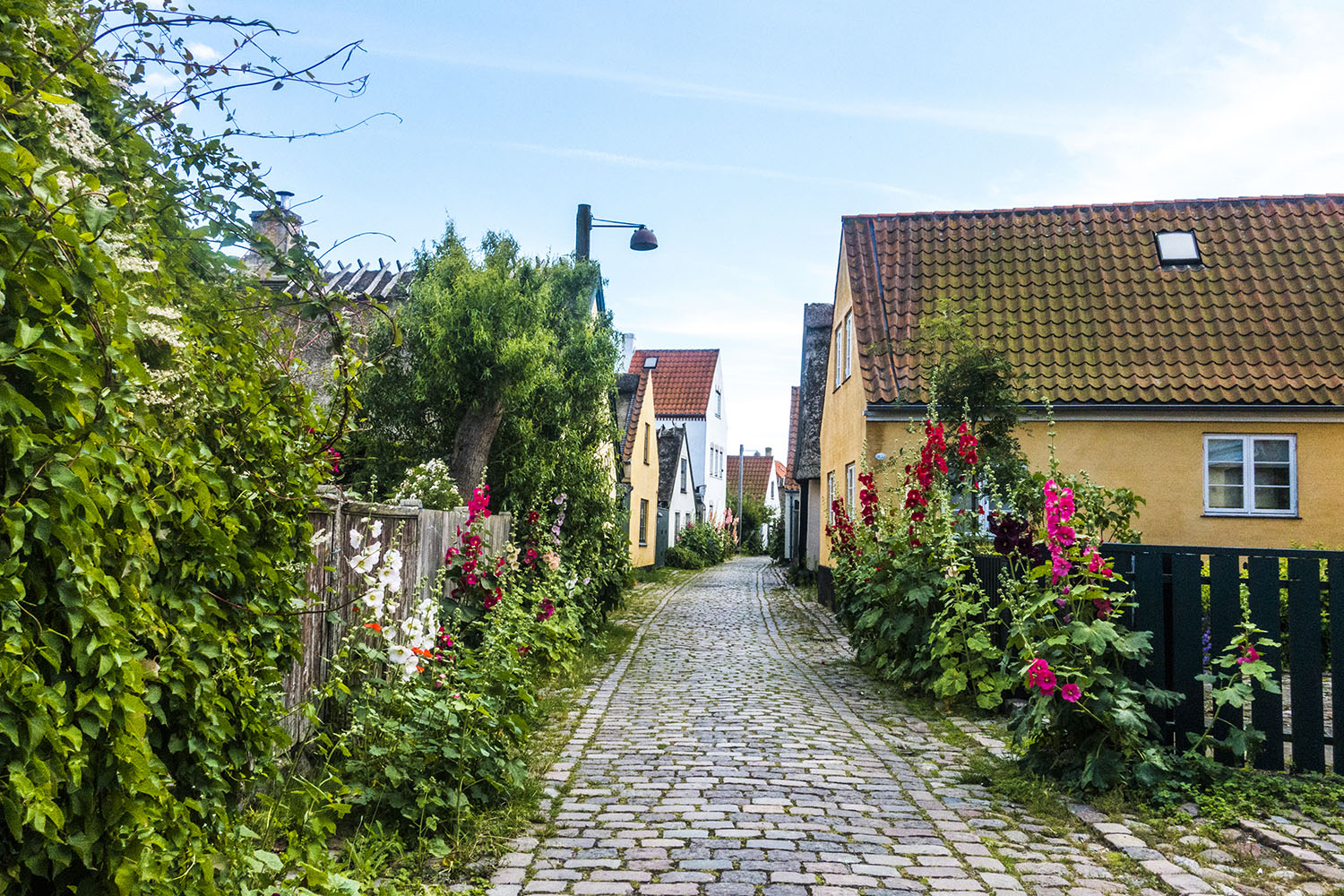 Dragør_130717_HelenaLundquist_9.small